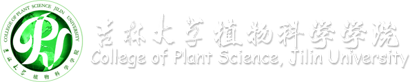 16877太阳集团